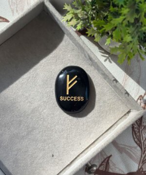 Wealth & Success Shield